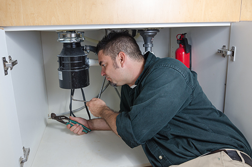 Five Bite-Sized Tips to Keep Your Garbage Disposal Running Efficiently