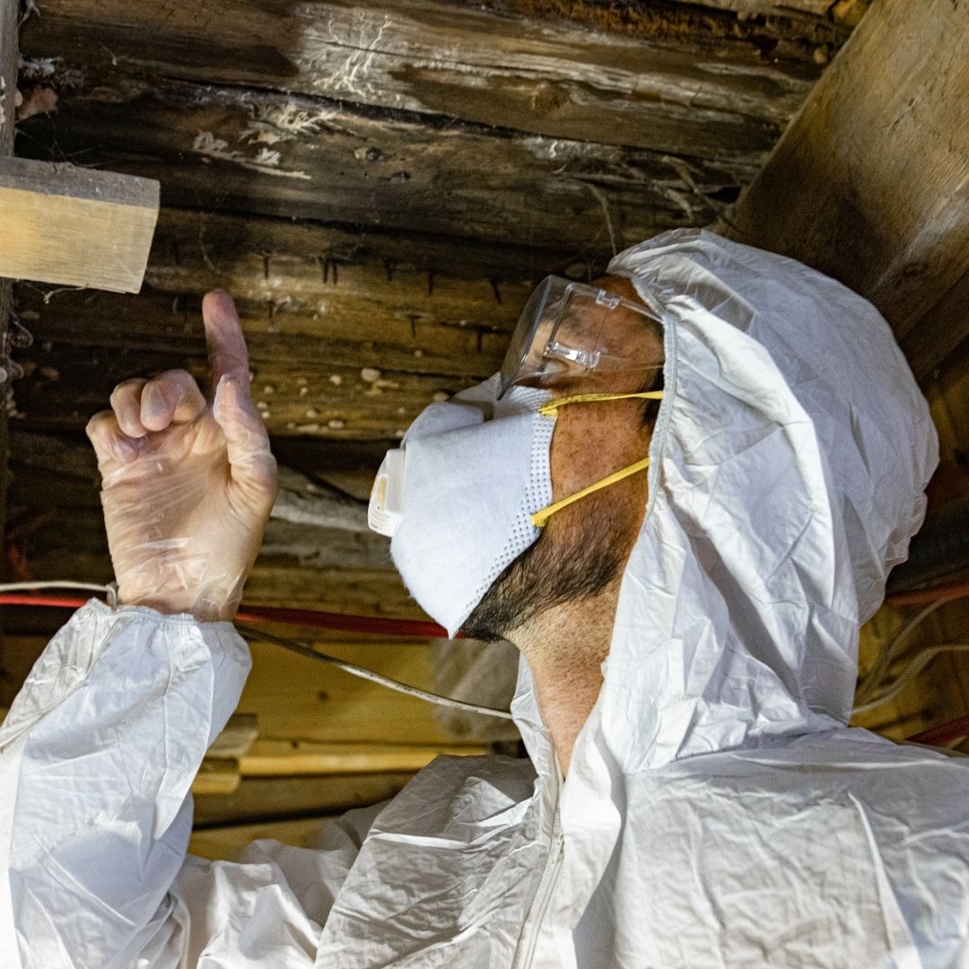 dehumidifier-charleston-sc